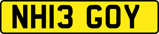 NH13GOY