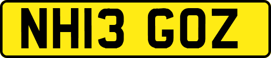 NH13GOZ