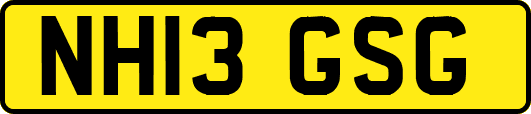 NH13GSG