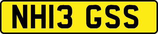 NH13GSS