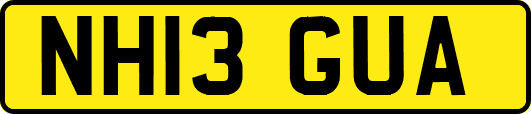 NH13GUA