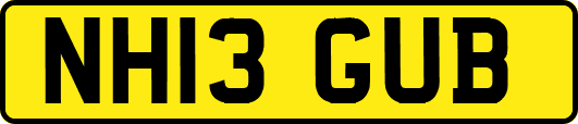 NH13GUB