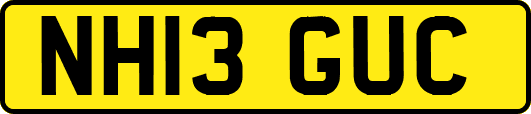 NH13GUC