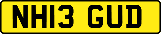 NH13GUD