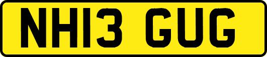 NH13GUG