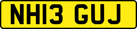 NH13GUJ