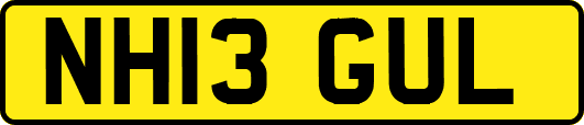 NH13GUL
