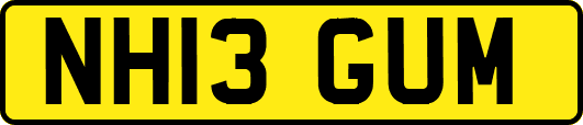 NH13GUM