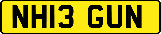 NH13GUN
