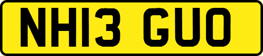 NH13GUO