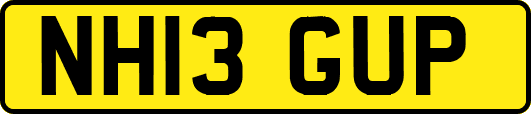 NH13GUP