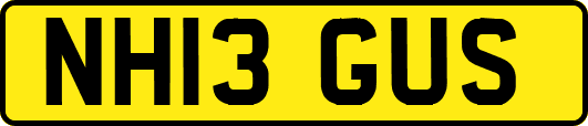NH13GUS