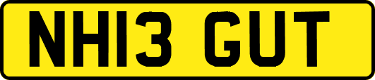 NH13GUT