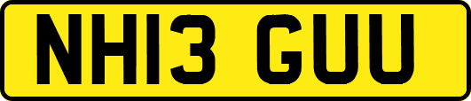 NH13GUU
