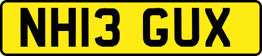 NH13GUX