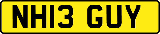 NH13GUY