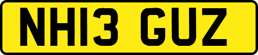 NH13GUZ