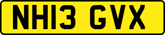 NH13GVX