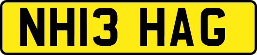 NH13HAG