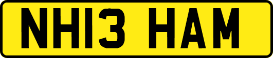 NH13HAM