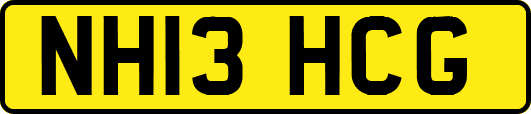 NH13HCG