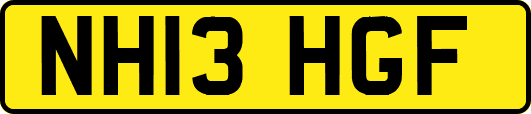 NH13HGF