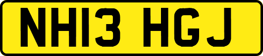NH13HGJ