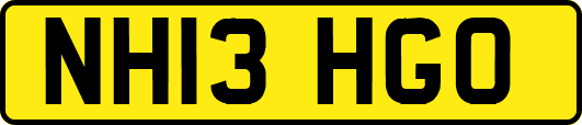 NH13HGO