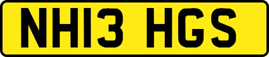 NH13HGS