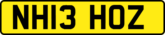 NH13HOZ