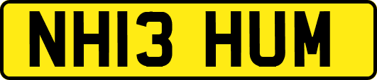 NH13HUM