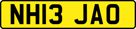 NH13JAO
