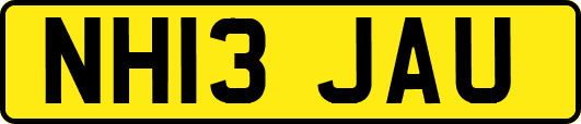 NH13JAU