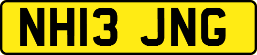 NH13JNG