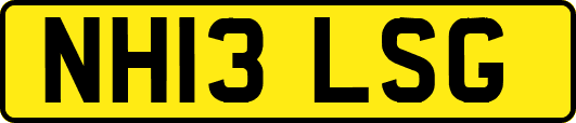 NH13LSG