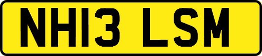 NH13LSM