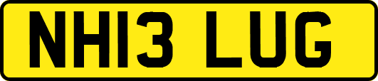 NH13LUG