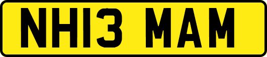 NH13MAM