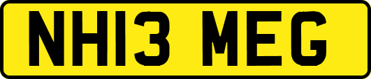 NH13MEG