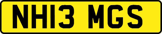 NH13MGS