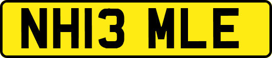 NH13MLE