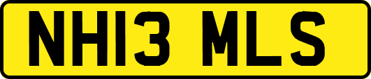NH13MLS