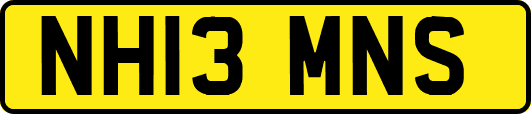 NH13MNS