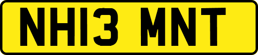 NH13MNT