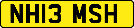 NH13MSH