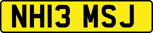 NH13MSJ