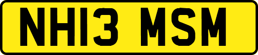 NH13MSM