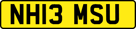 NH13MSU