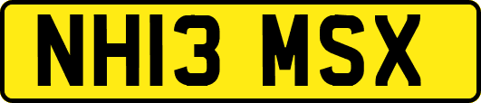 NH13MSX