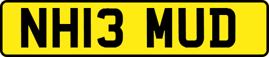 NH13MUD